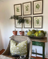 TACOMA IN OLIVE GREEN PILLOW COVER - Krinto.com